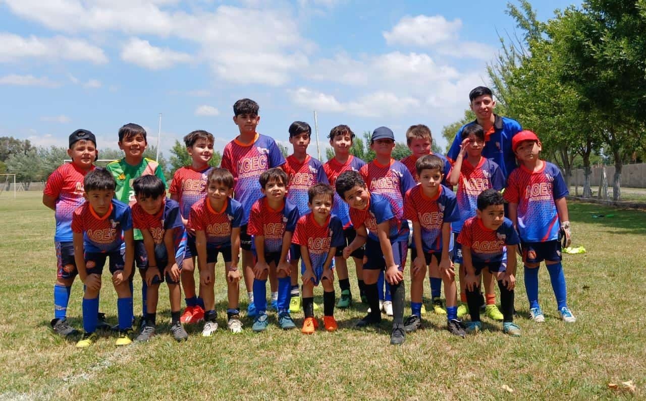 hockey patin Imagen Local