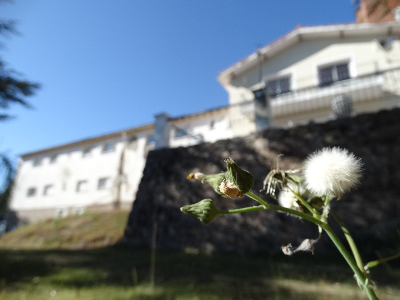 Salsipudes:  Hotel Carold Espacio Serrano