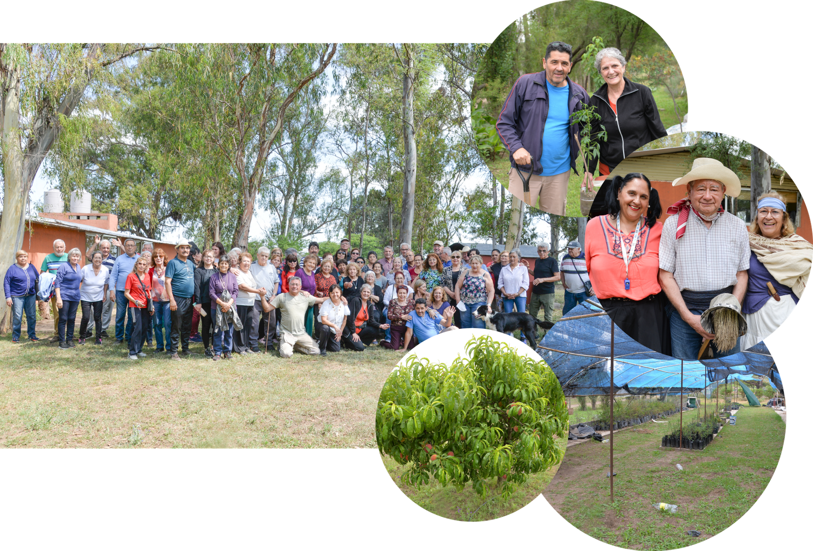 vivero forestal Imagen Local