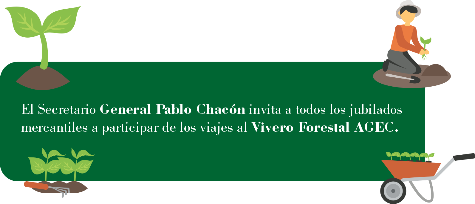 vivero forestal Imagen Local