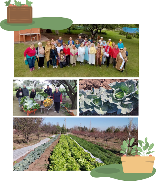 vivero forestal Imagen Local