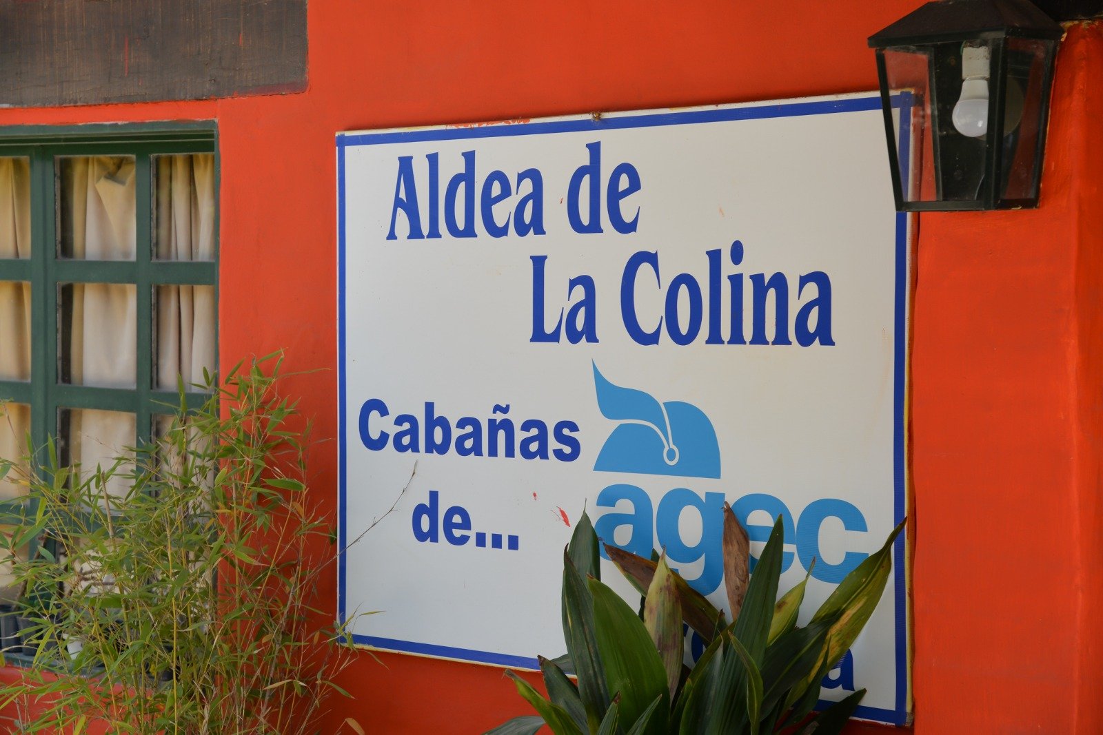 🗳️ Elecciones AGEC 🗳️