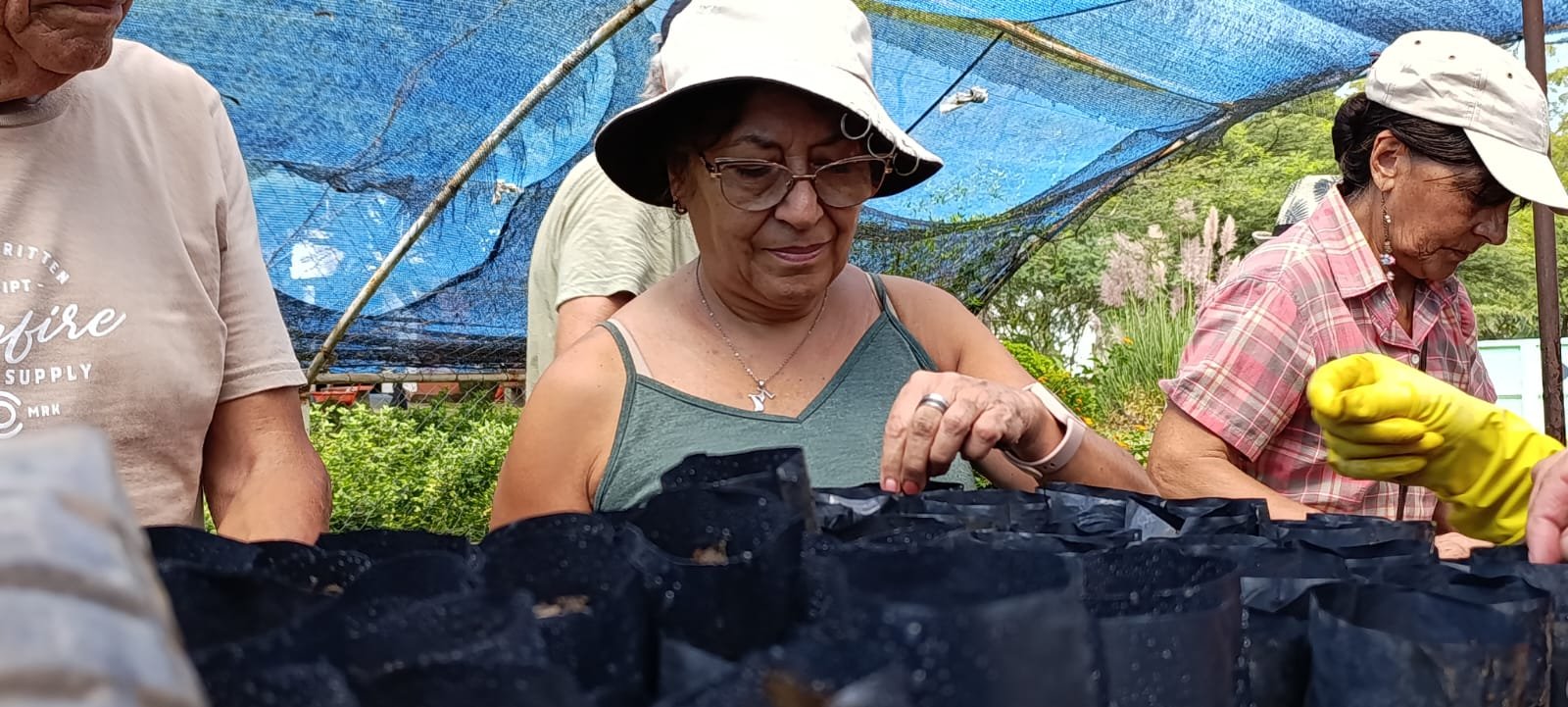 vivero Imagen Local
