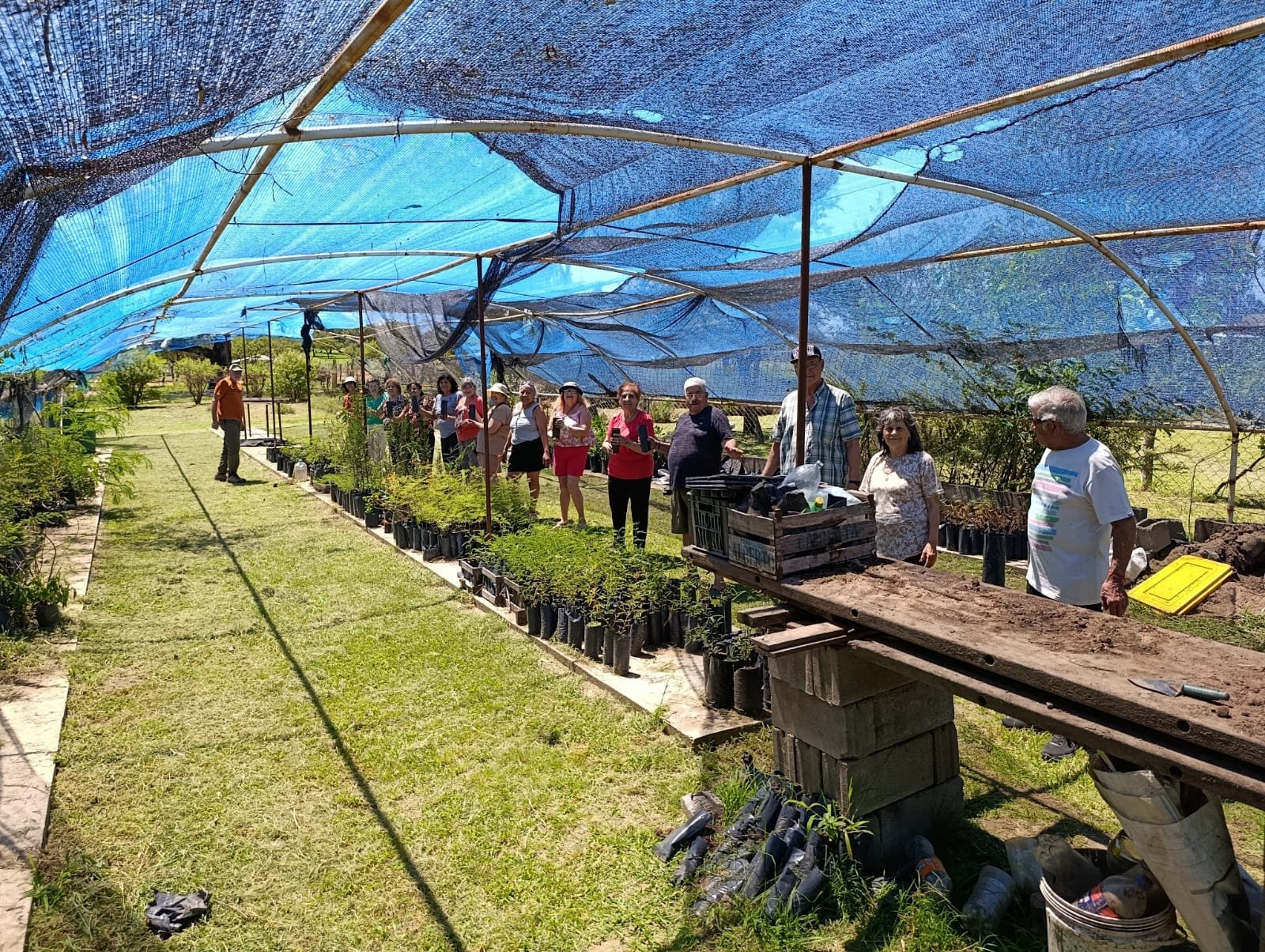 vivero Imagen Local