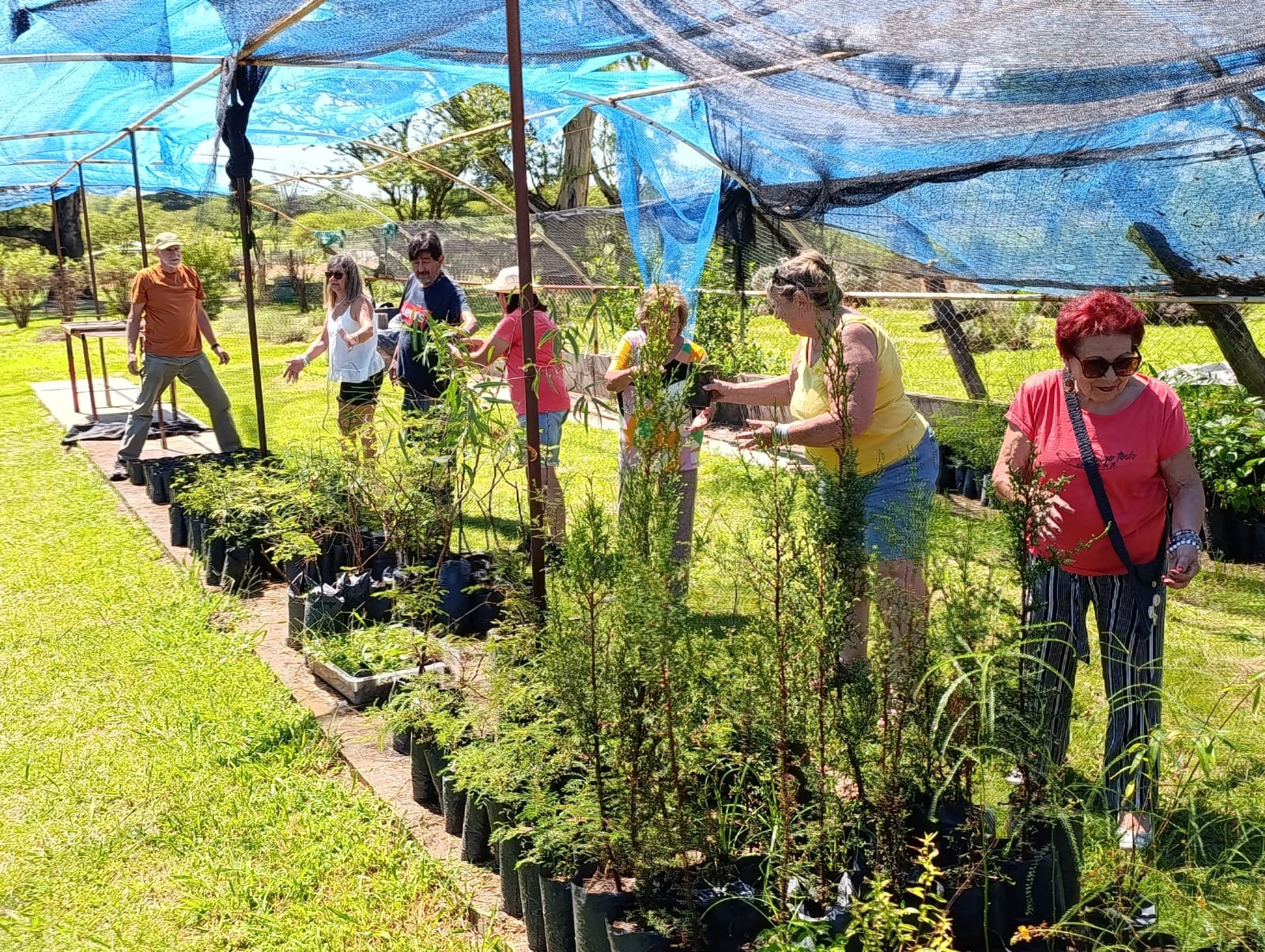 Vivero Forestal