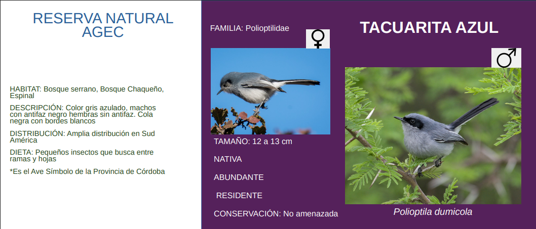 imagen Imagen Local